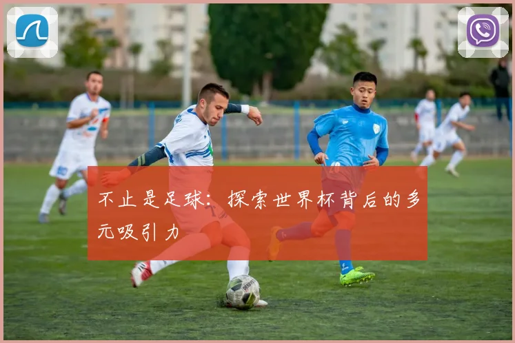 不止是足球：探索世界杯背后的多元吸引力